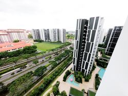 Botanique At Bartley (D19), Condominium #596202911